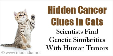The Cat-Human Cancer Connection